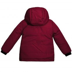 Куртка 22503 бордова